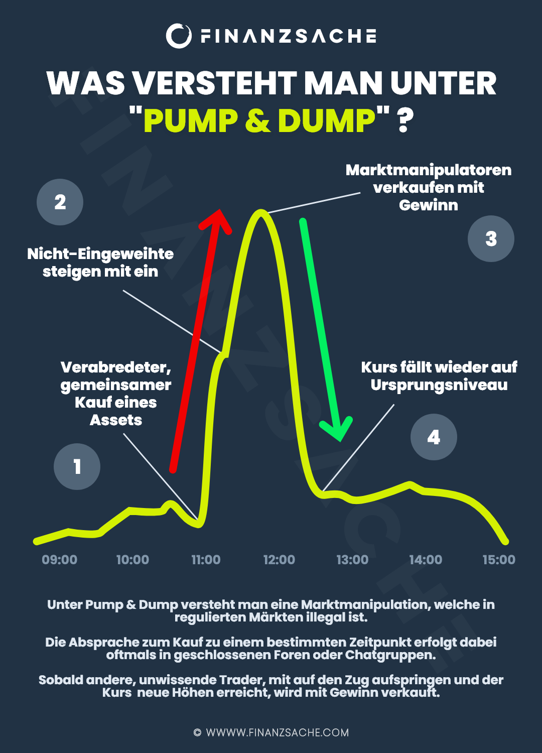 Pump & Dump Infografik